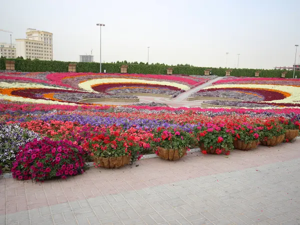 Miracle Garden Dubai