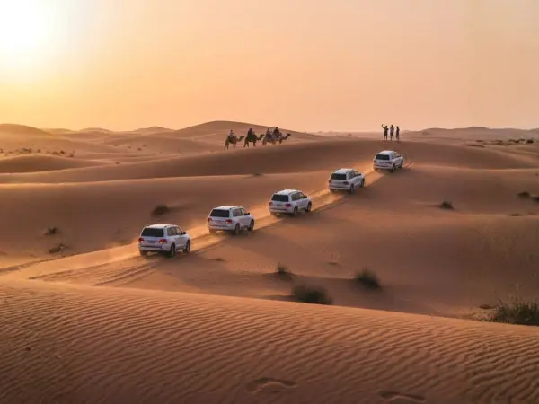 Sunrise/Morning Desert Safari Tour