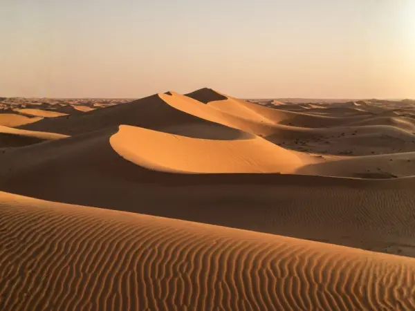 Liwa Oasis (Mureeb Dune) Tour
