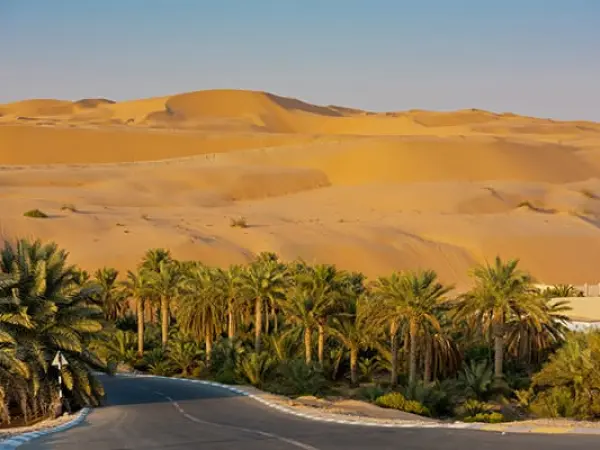 Liwa Oasis (Mureeb Dune) Tour