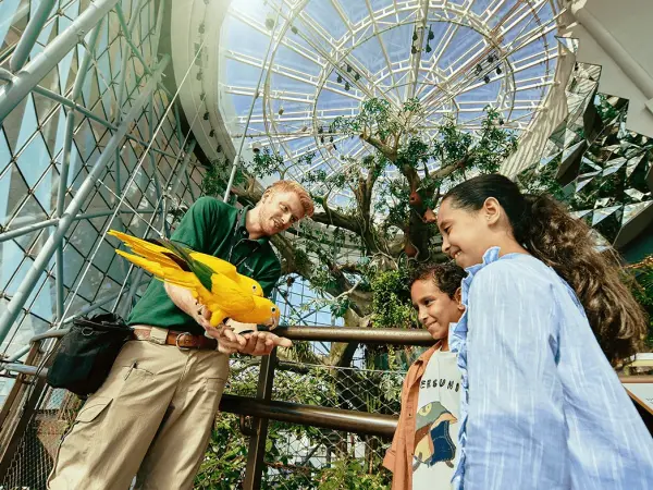 The Green Planet Dubai