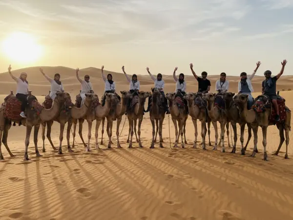 Sunrise/Morning Desert Safari Tour