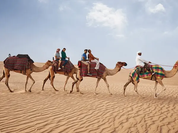 Camel Ride