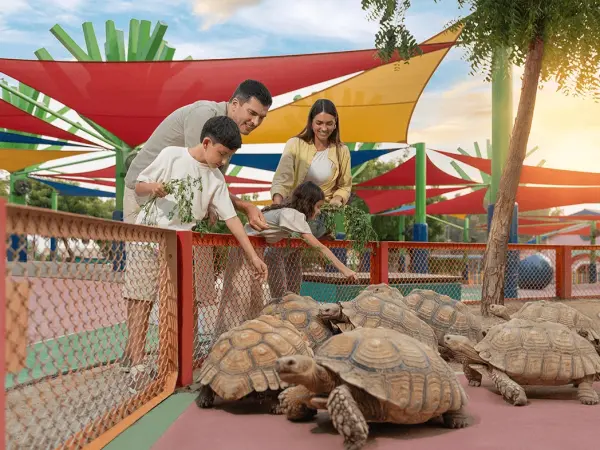 Dubai Safari Park