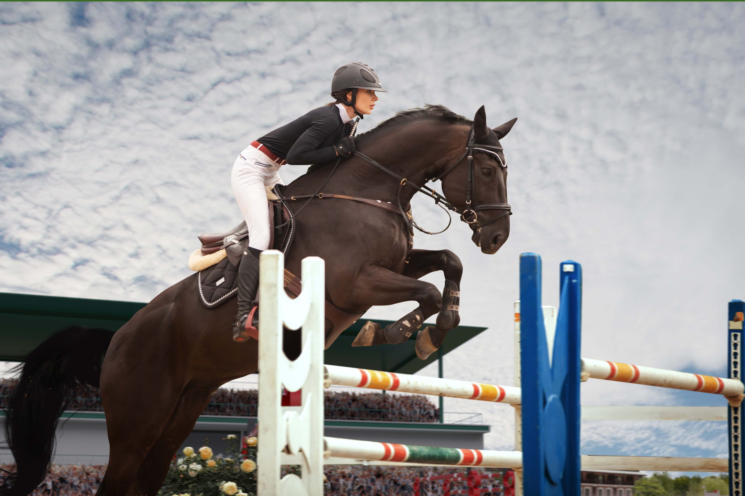 Abu Dhabi's Al Ahli Horse Riding Club