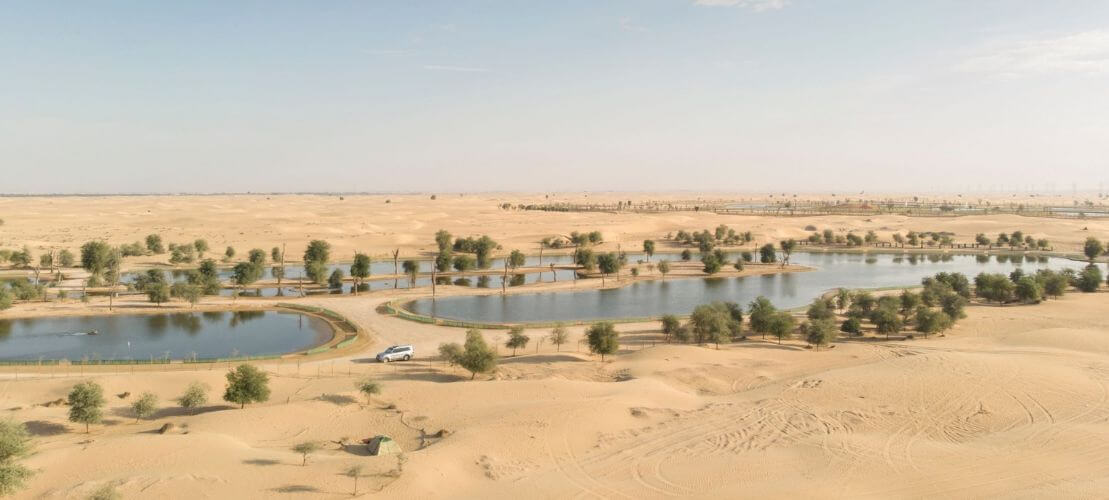 Al Qudra Lake