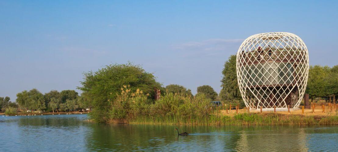 Enjoy A Quiet Outing At Al Qudra Lakes