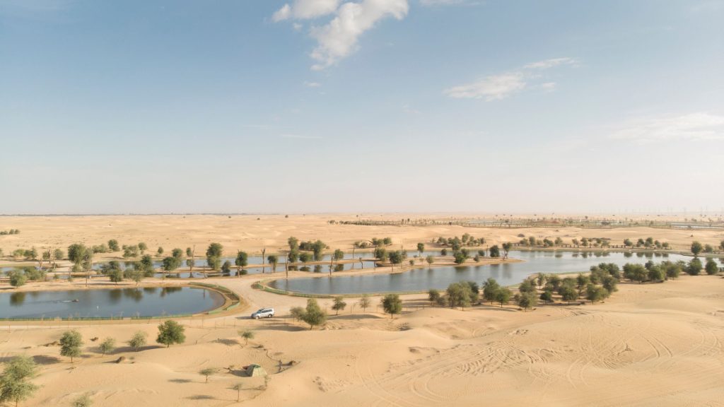 Discover Al Qudra Lake Nature's Beauty in Dubai's Desert Captain Dunes