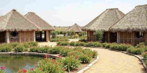 Asian Village In Dubai Safari Park