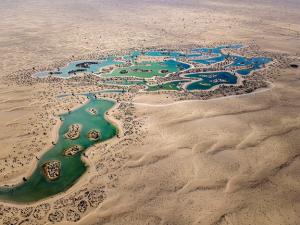 Al Qudra Lake Visit