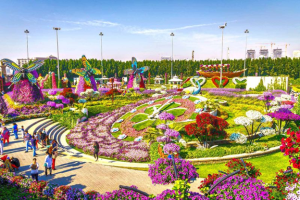 Butterfly Garden Dubai 2022