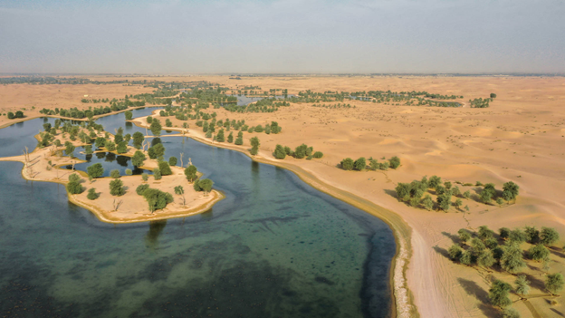 Visit Al Qudra Lake