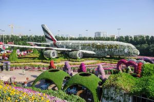 Miracle Garden Tour