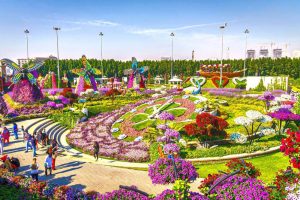 Butterfly Garden Dubai Tour 2022