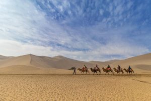 Desert Safari Dubai Tour and camel Riding