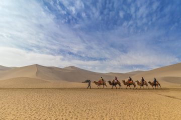 Desert Safari Dubai Tour and camel Riding