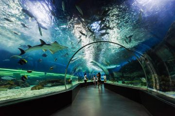 Underwater zoo Dubai Tour