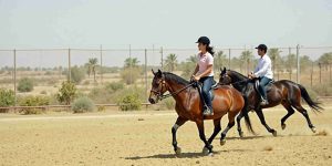 Horse Riding At Black Level