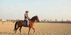 Horse Riding at Red Level