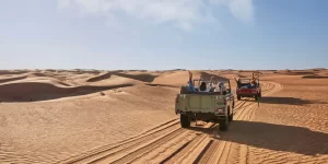 Desert Safari