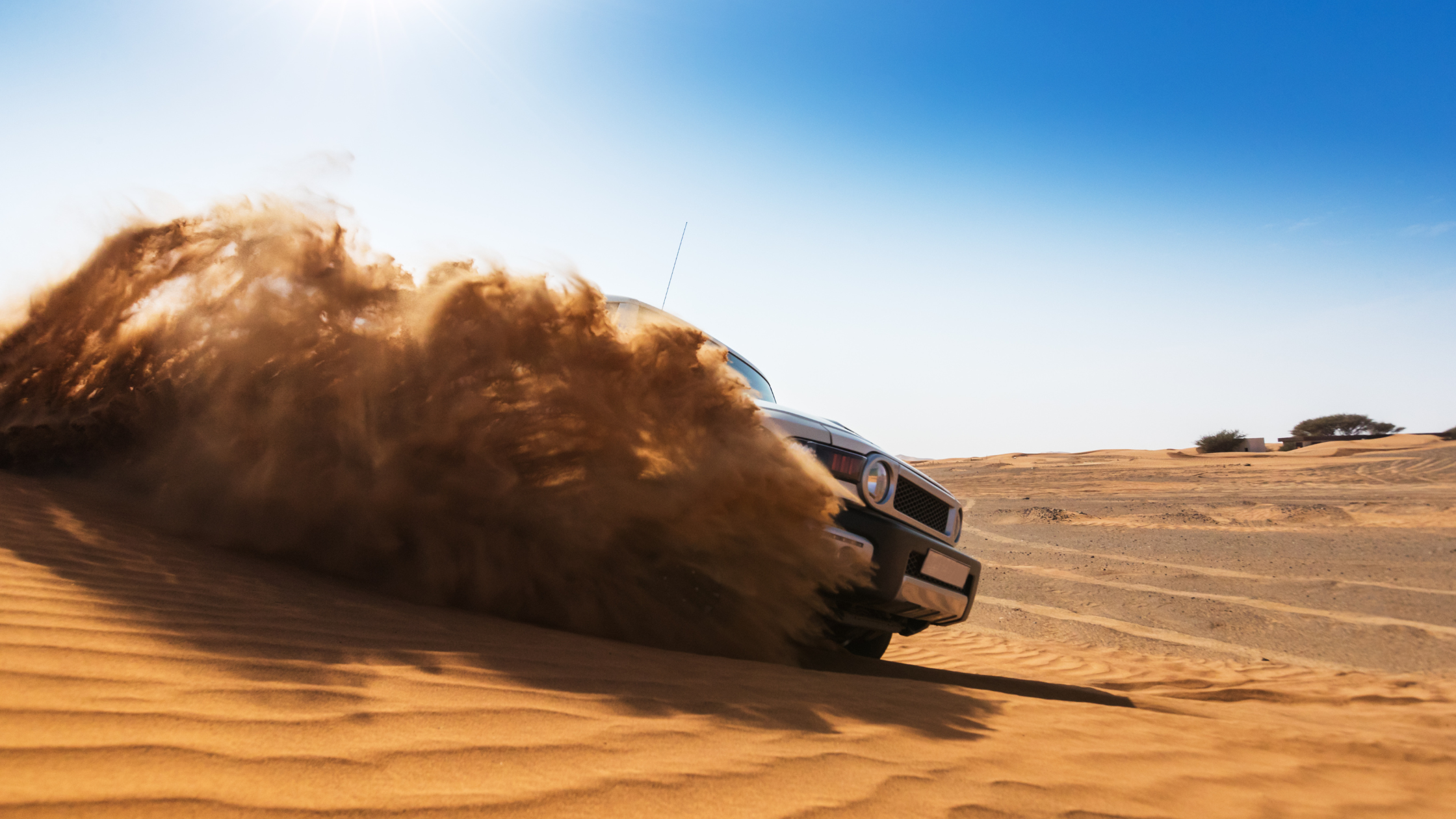 Dune Bashing