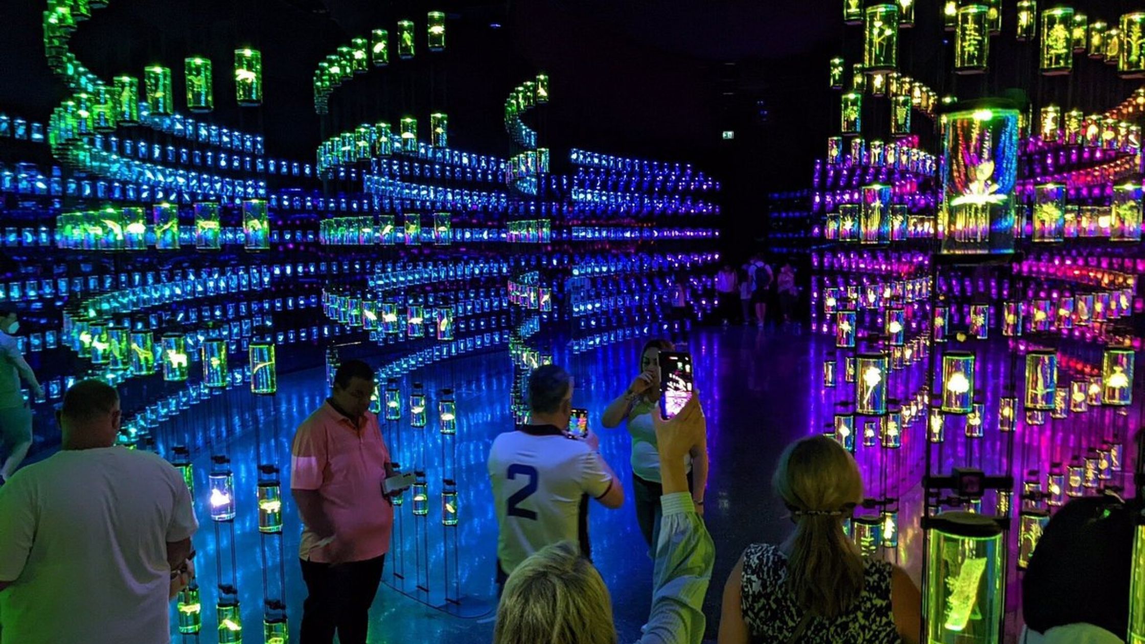 Dubai's Museum of the Future tour