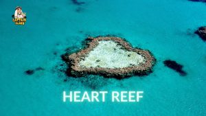 Heart Reef