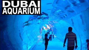 Dubai Aquarium