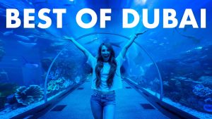 Dubai Aquarium