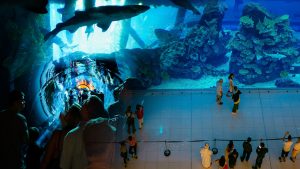 Dubai Aquarium