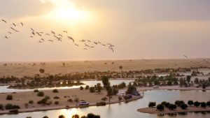 Al Qudra Lake