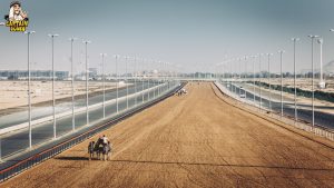 Dubai Camel Racing Festival