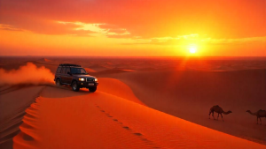 Desert Safari Abu Dhabi