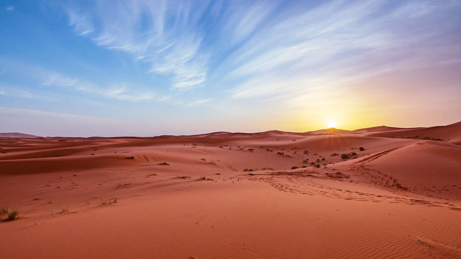 Sunset During An Evening Desert Safari Dubai